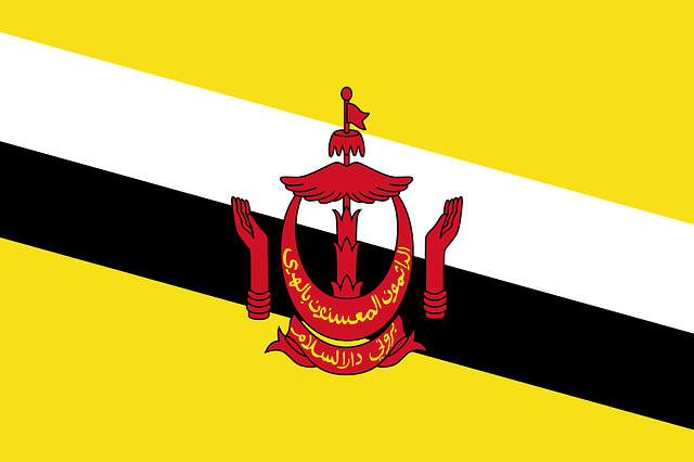 Brunei Flagge