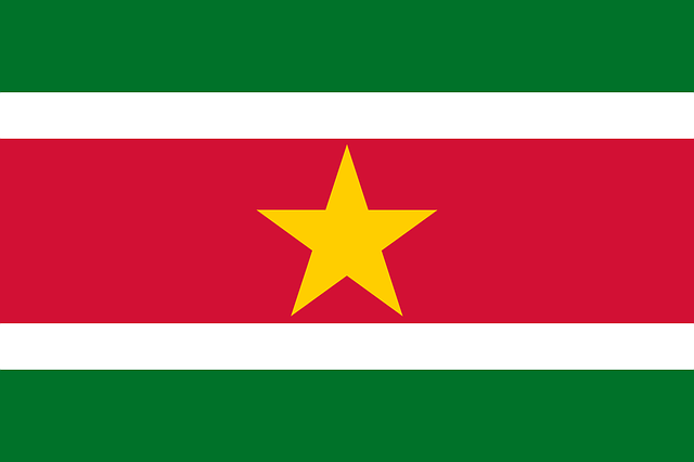 Suriname Flagge