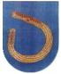 Isenbüttel Wappen